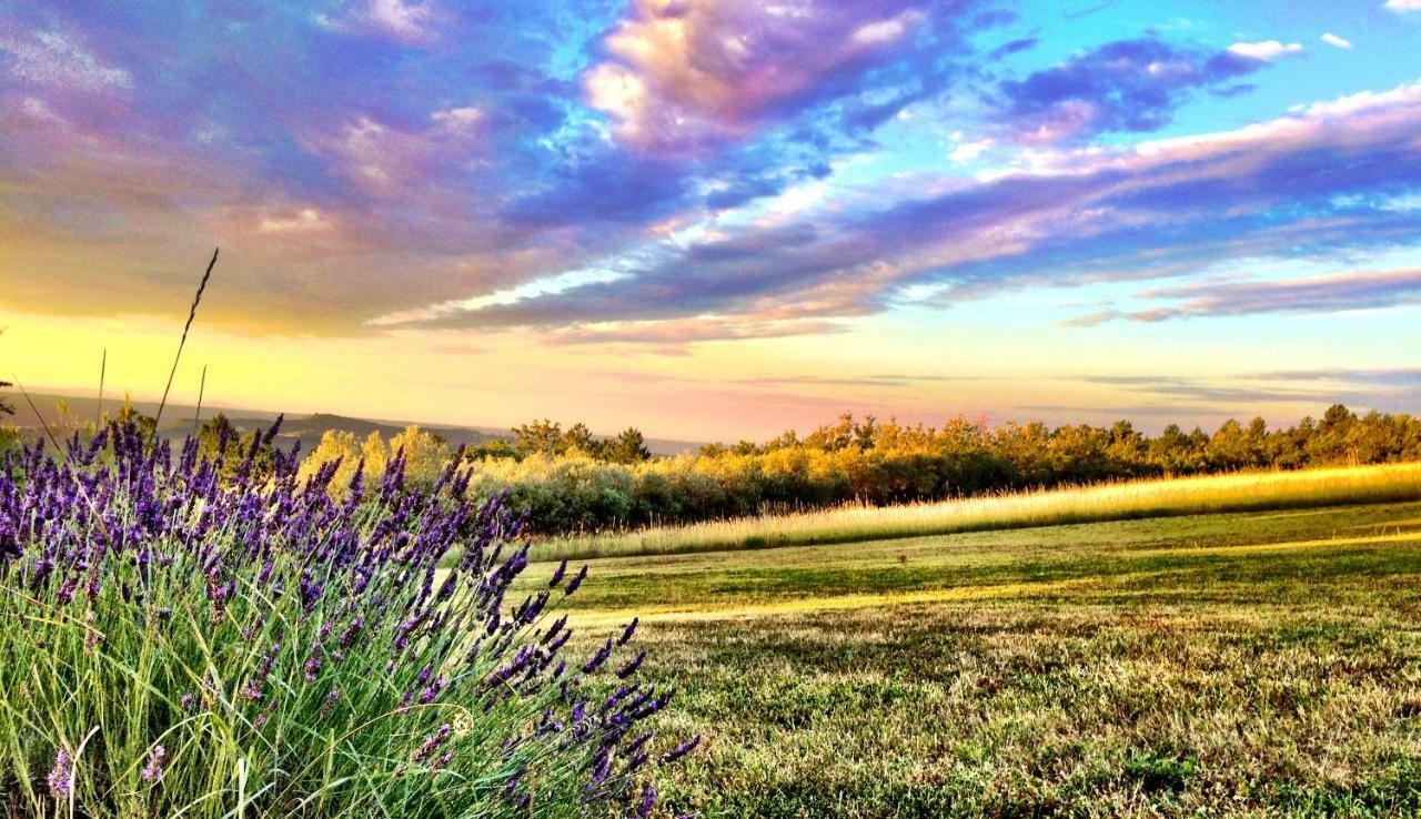 Sigonce La Colle En Provence Main Houseヴィラ エクステリア 写真