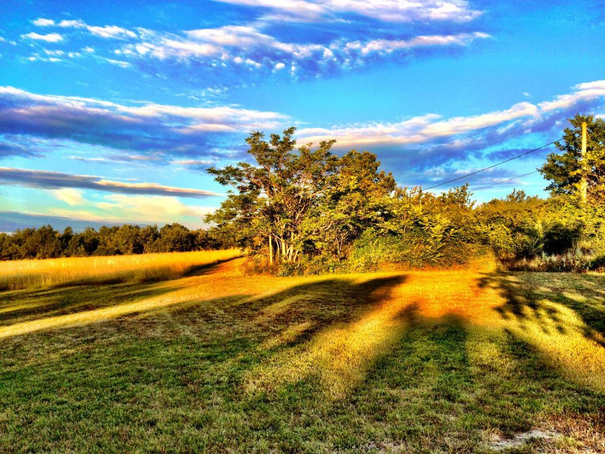 Sigonce La Colle En Provence Main Houseヴィラ エクステリア 写真